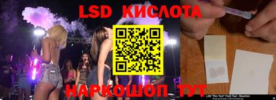 гашик Камышлов