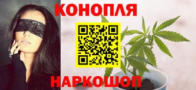 гашик Кандалакша
