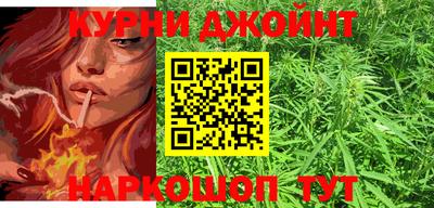 гашик Кандалакша