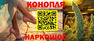 гашик Камышлов