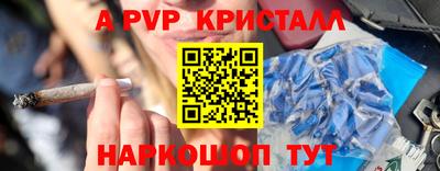 гашик Камышлов
